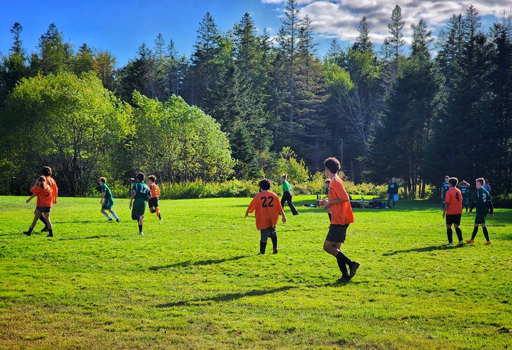 Soccer Teams at Play