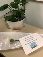 Teacher & Staff Appreciation Week